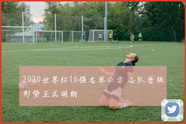2020世界杯16强名单公示 各队晋级形势正式明朗