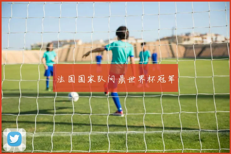 法国国家队问鼎世界杯冠军