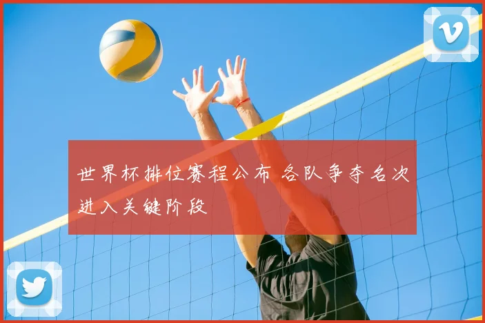 世界杯排位赛程公布 各队争夺名次进入关键阶段