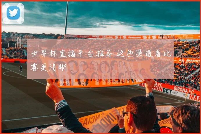 世界杯直播平台推荐 这些渠道看比赛更清晰