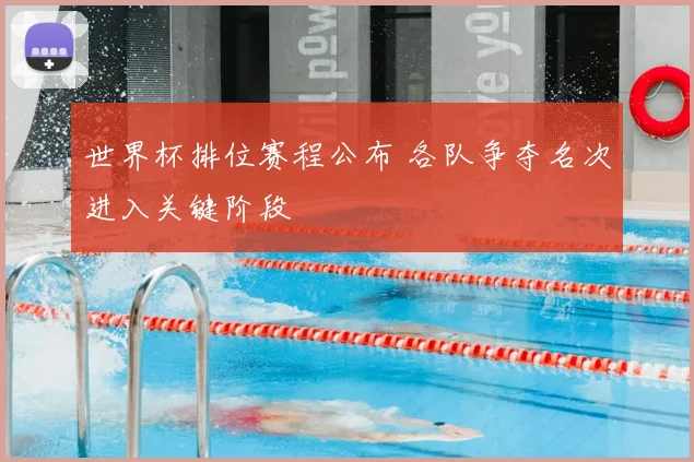 世界杯排位赛程公布 各队争夺名次进入关键阶段